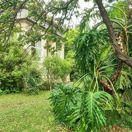 Pension Villa Inge Baden Extérieur photo