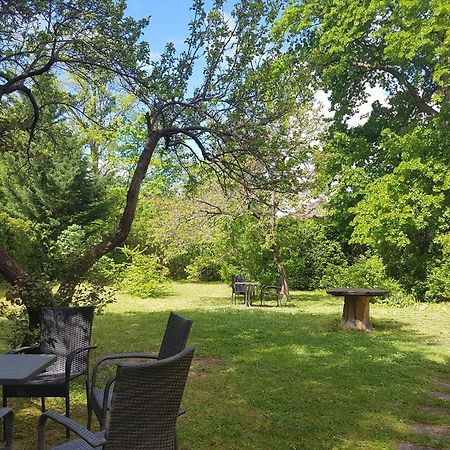 Pension Villa Inge Baden Extérieur photo