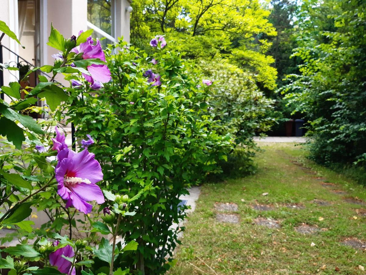 Pension Villa Inge Baden Extérieur photo