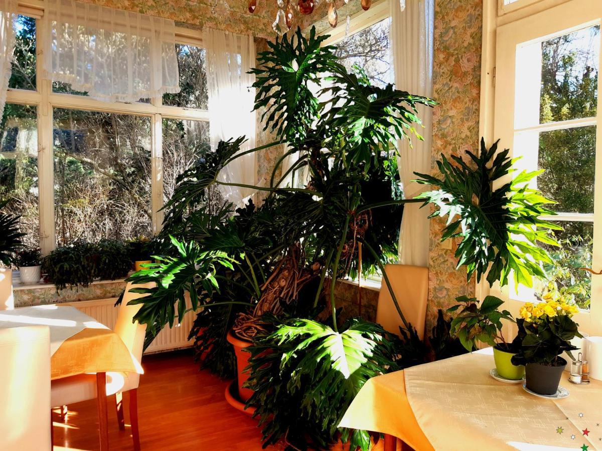 Pension Villa Inge Baden Extérieur photo